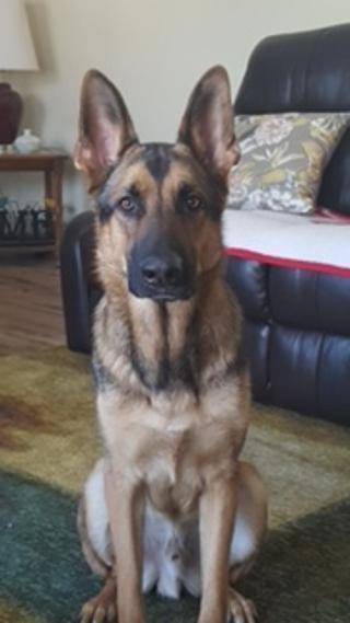 Rich Beam's profile image