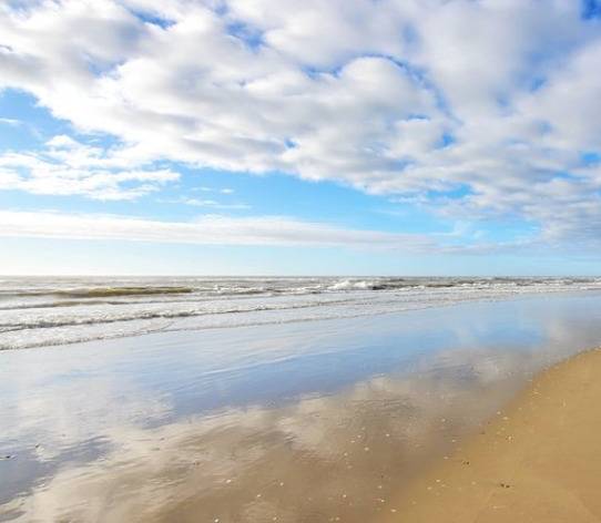 K F.'s profile image