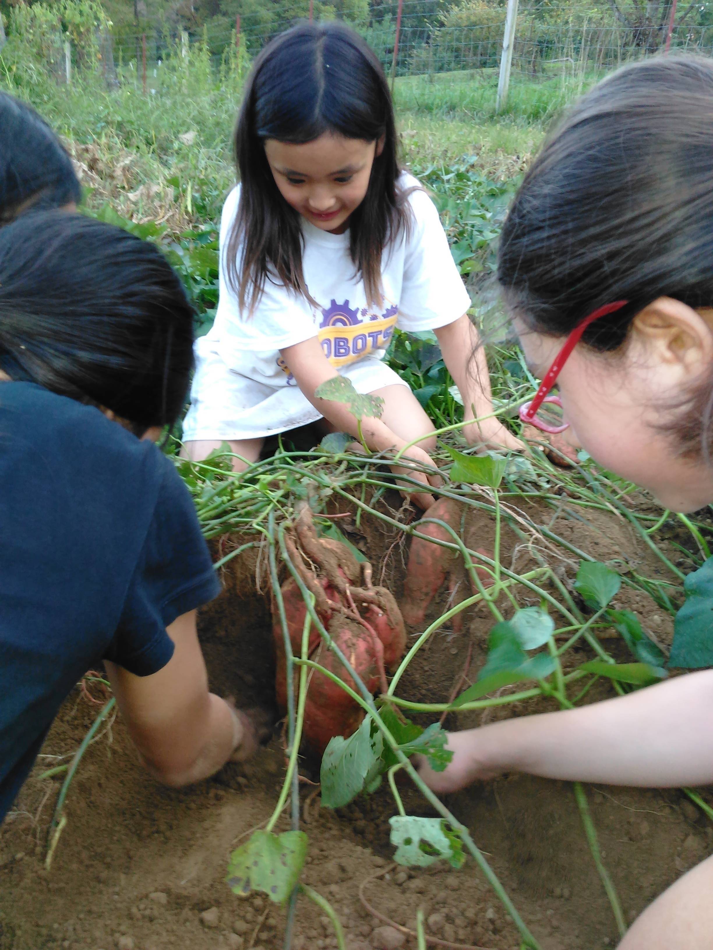 Lily Lee's profile image