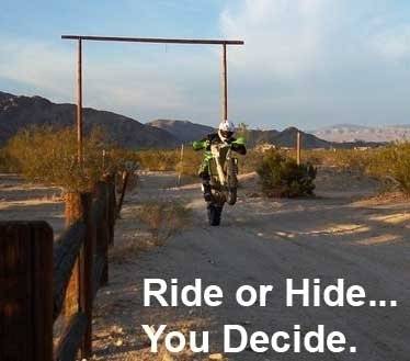 Glen Williams's profile image