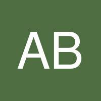 ALDO BERTOLOTTI's profile image