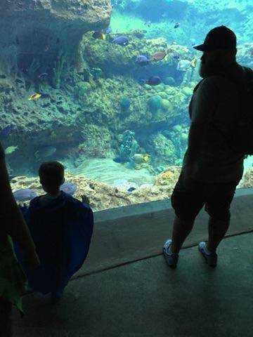 Joseph Bellner's profile image