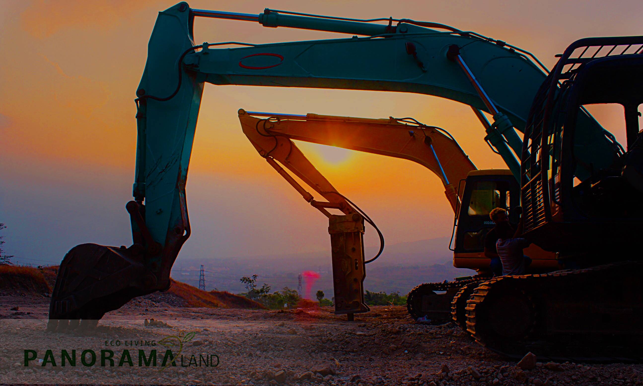 Vera Salva's profile image