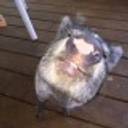 Sarah Jukes's profile image