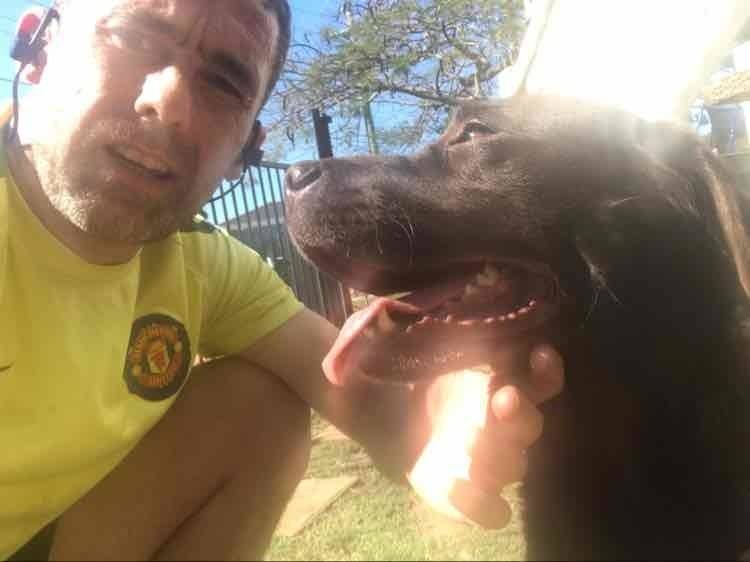 Dave O Shaughnessy's profile image