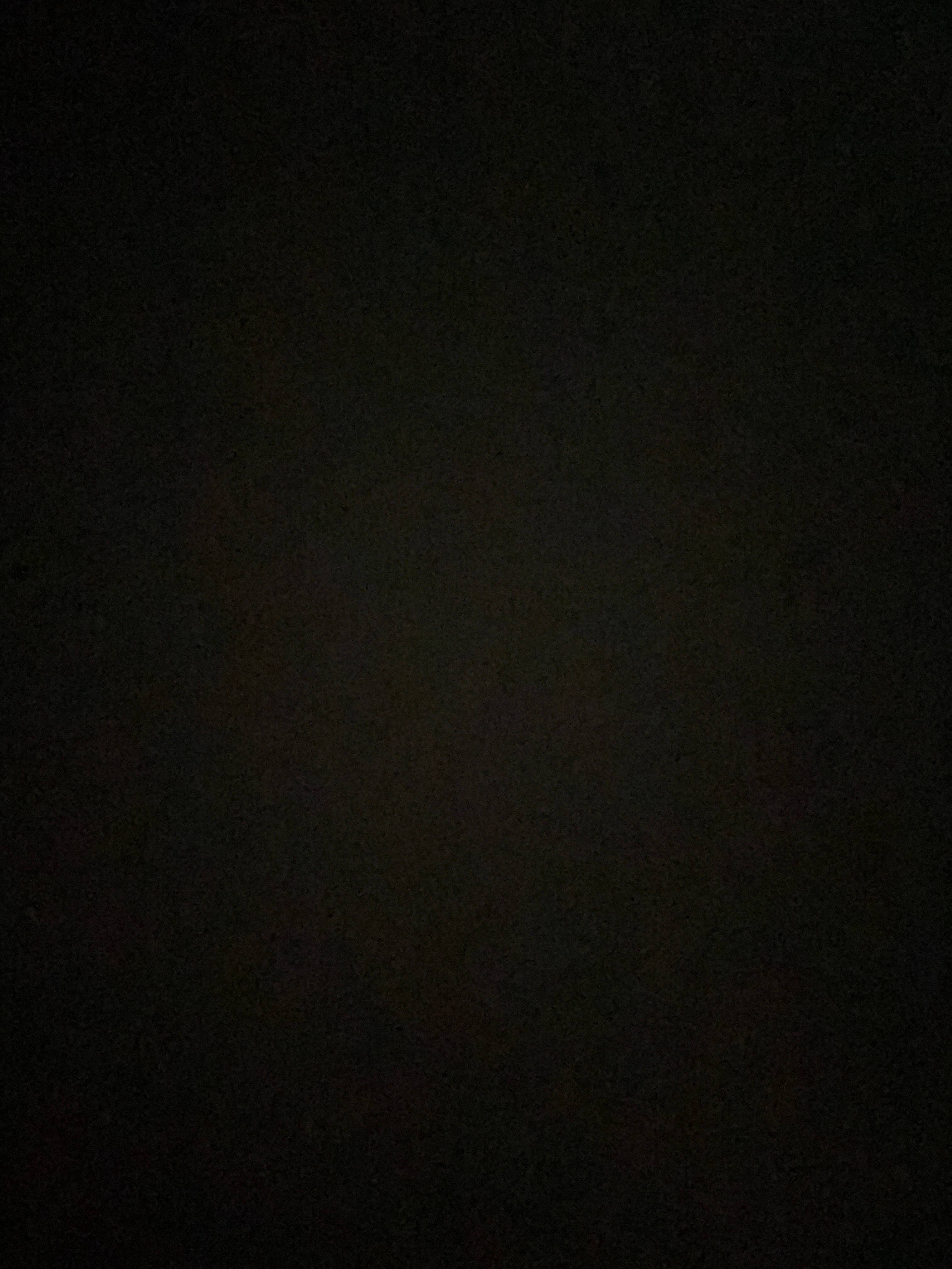 Teri Faulkner's profile image