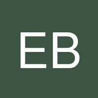 Elad Bicer's profile image