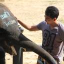 Miguel Intencion's profile image