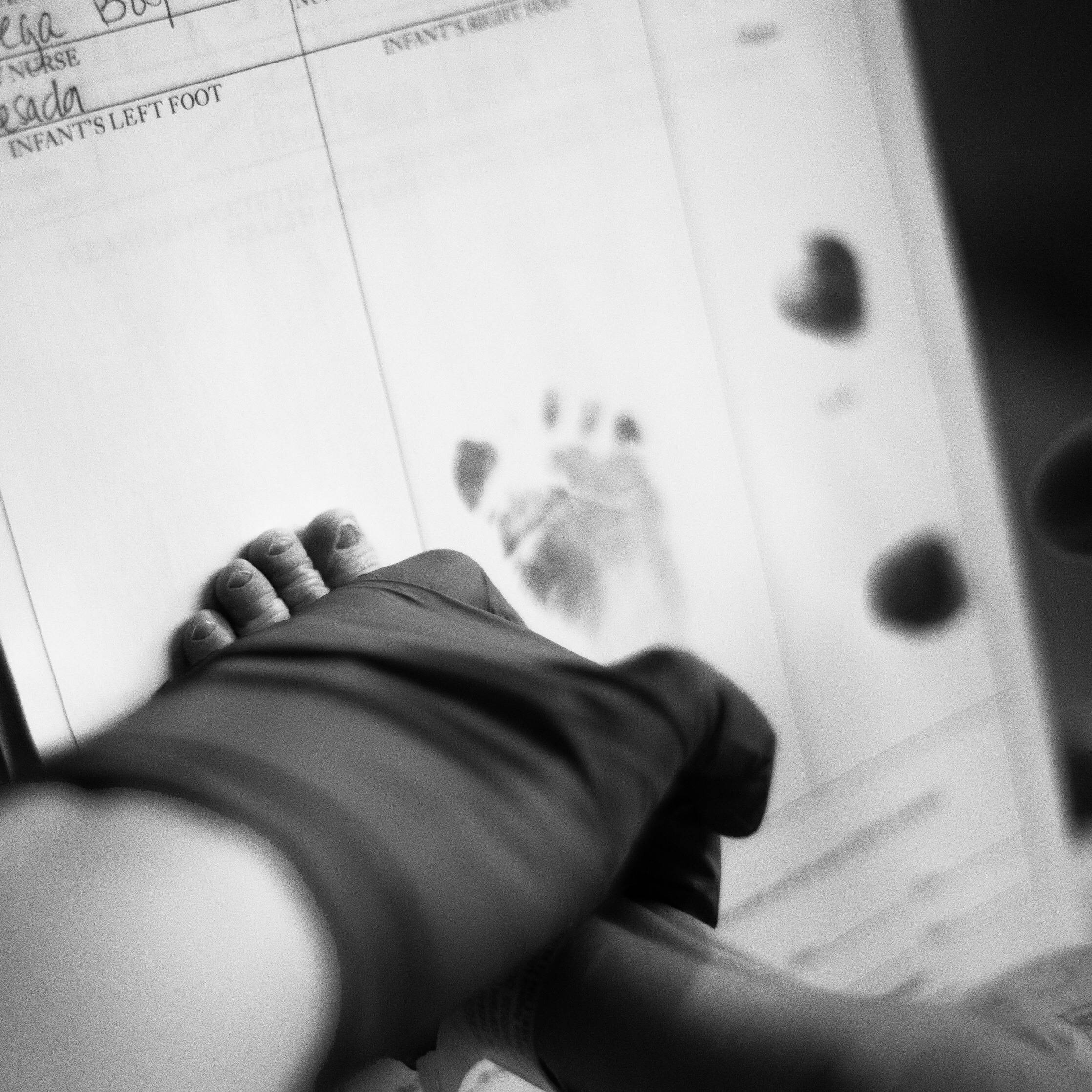 Jorge Ortega's profile image