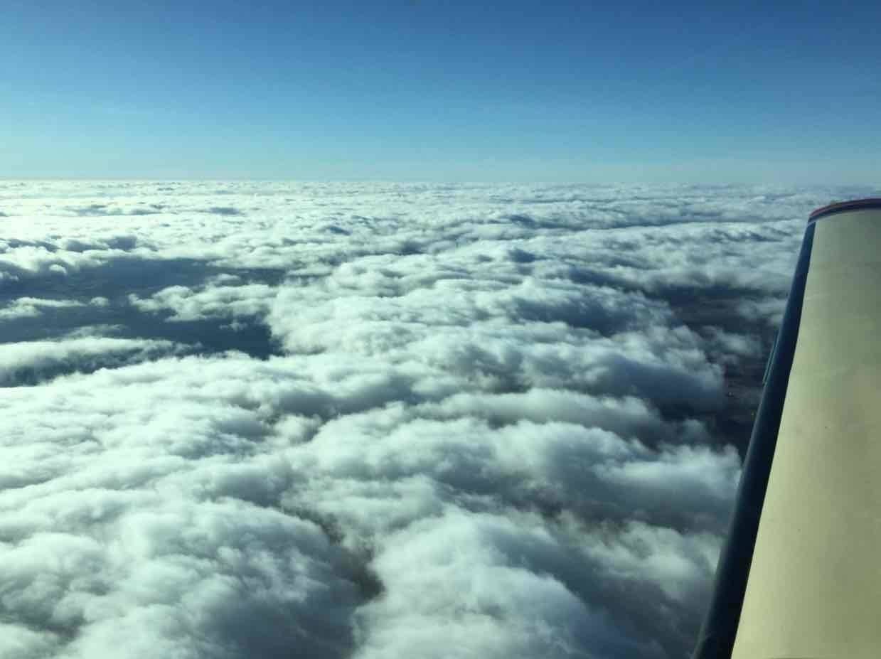 Collin Burton's profile image