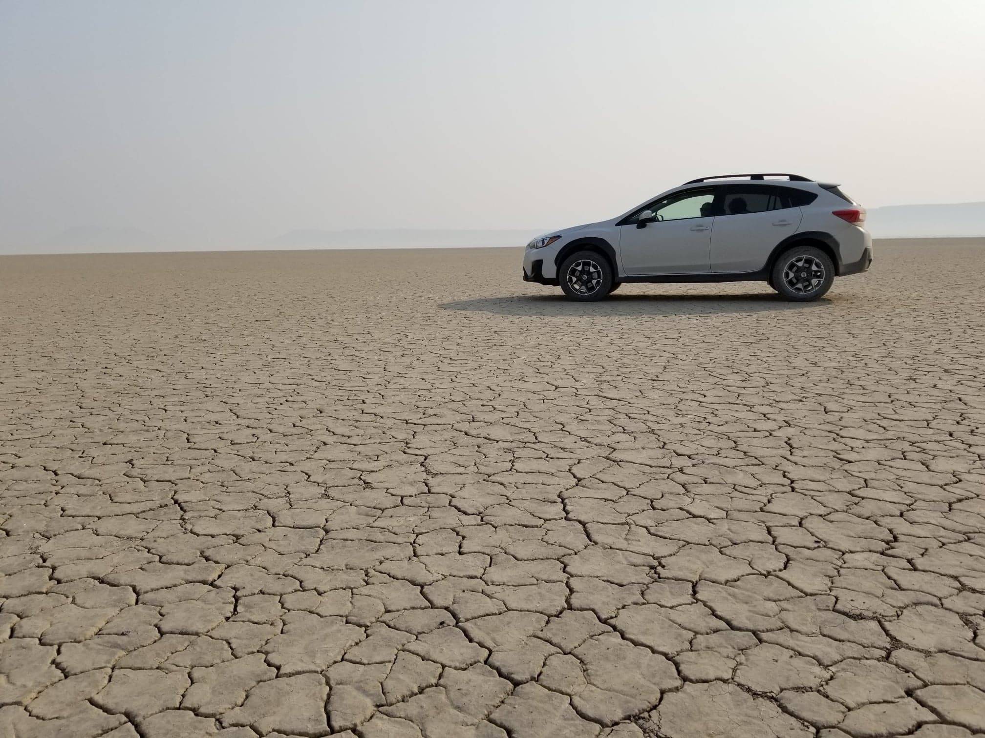 Wa Chan's profile image