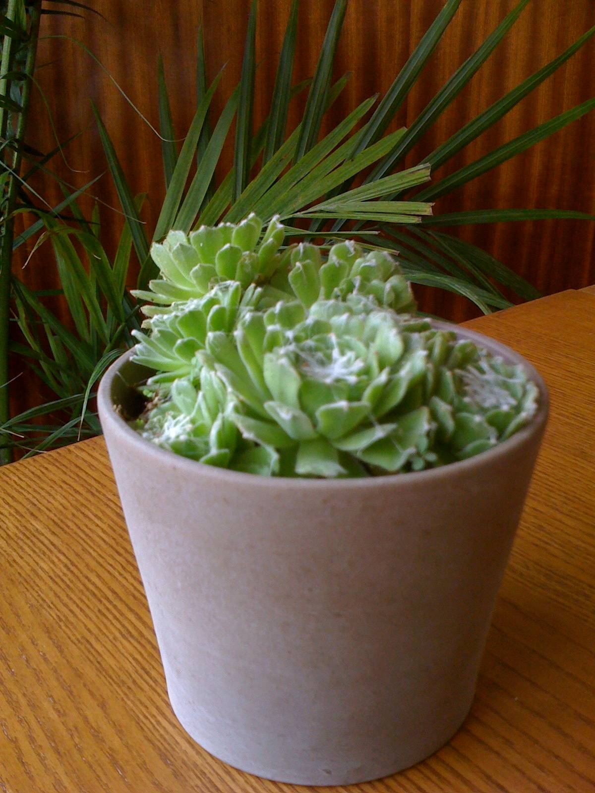 Monte Large's profile image