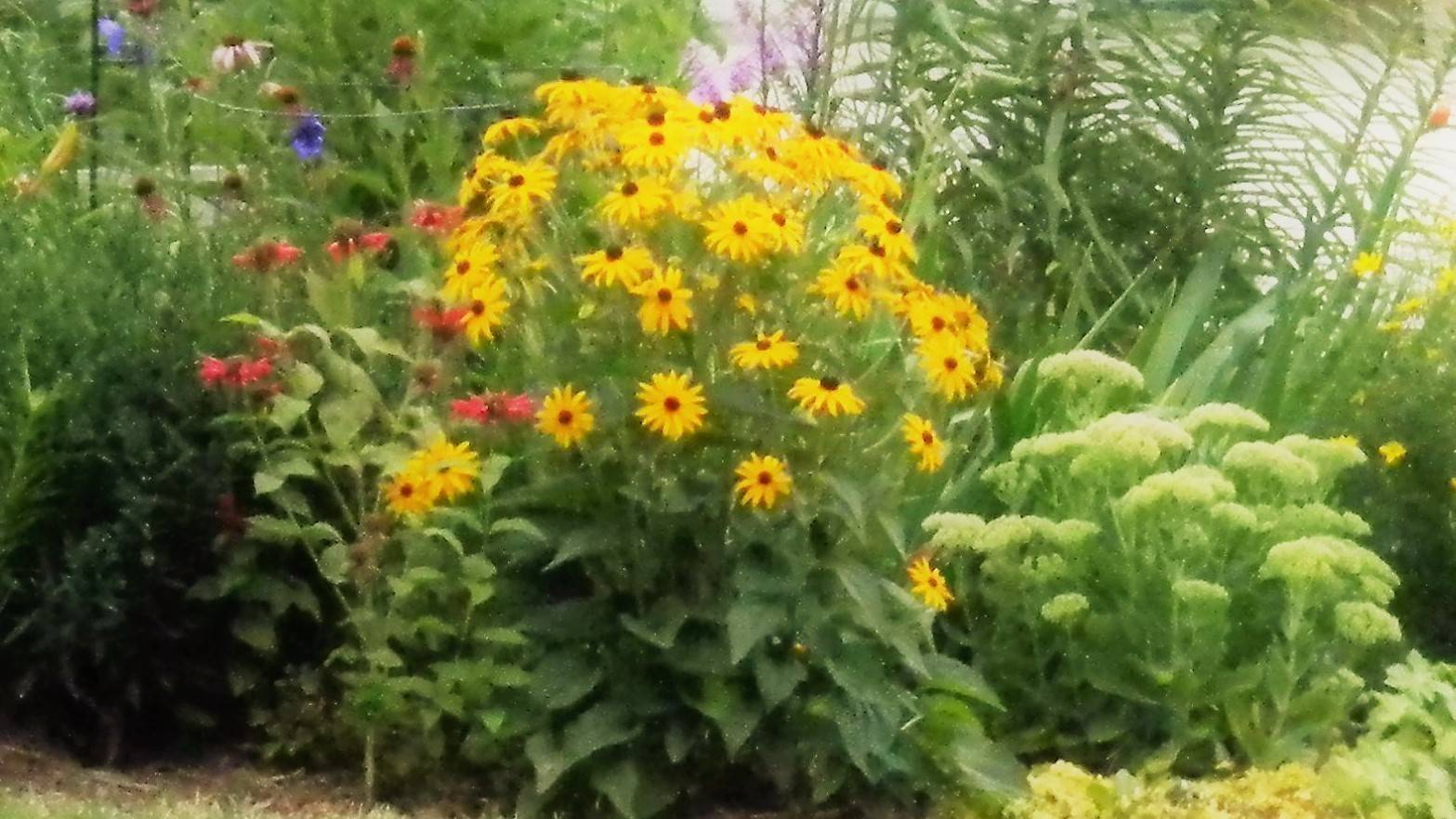 Adriana J.'s profile image