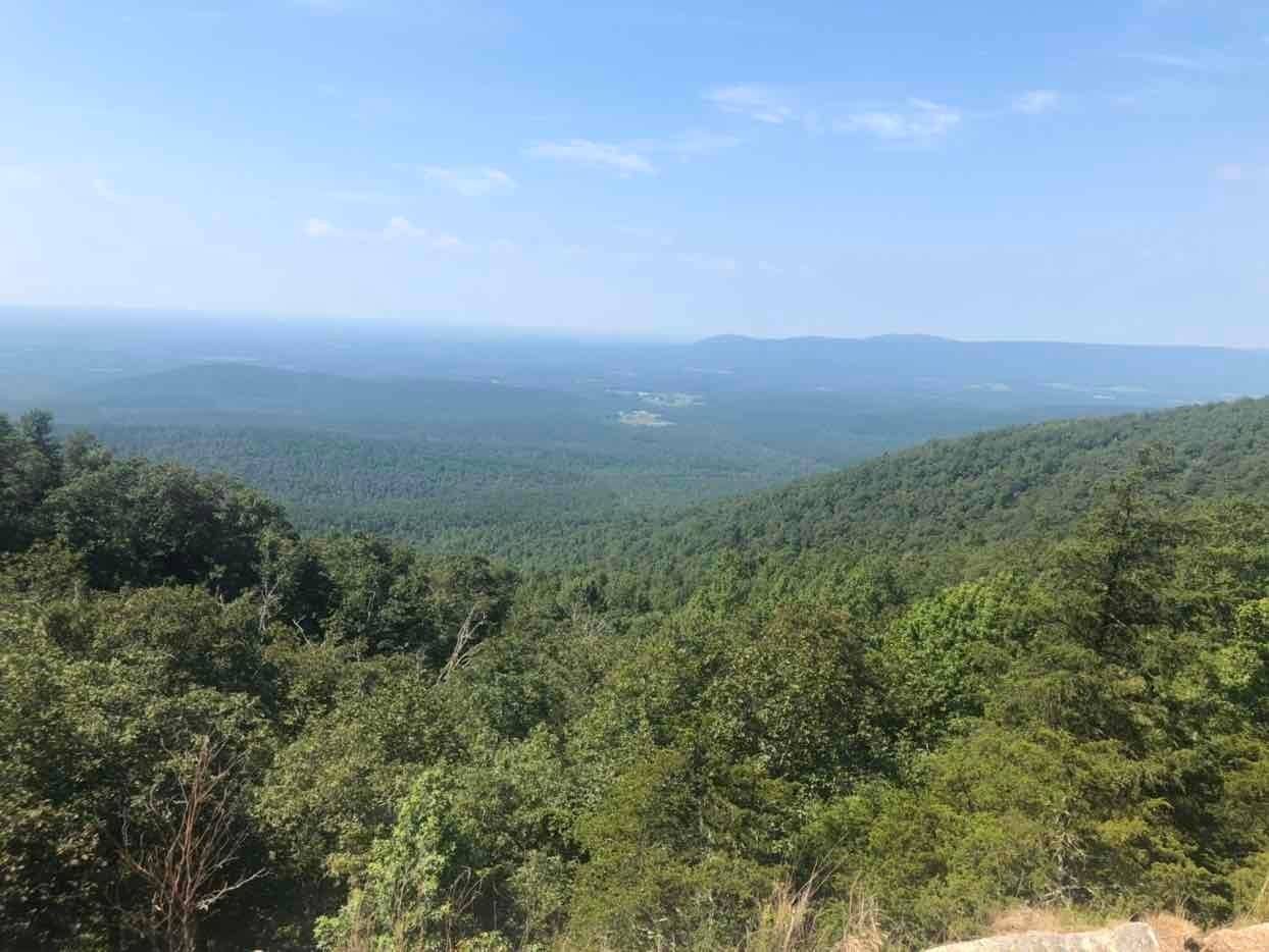 Patrick Stager's profile image