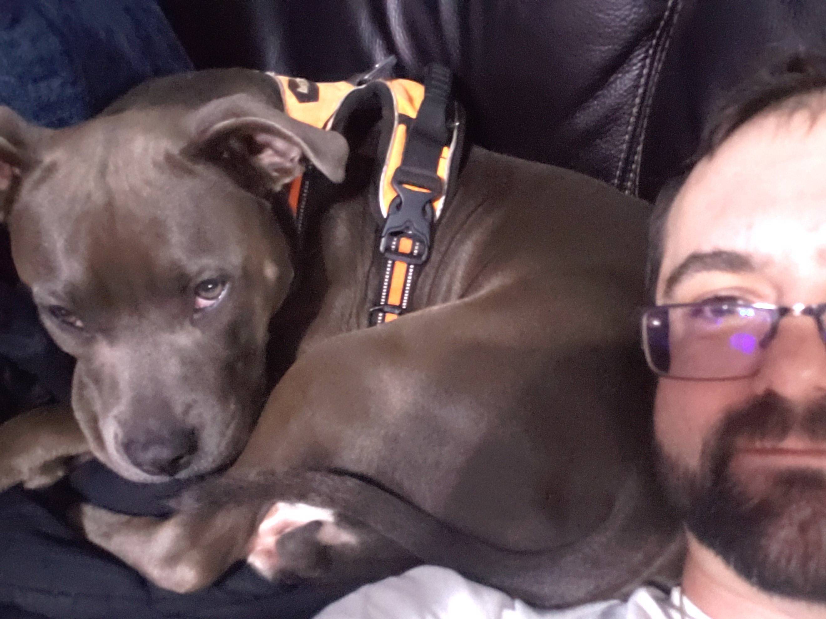 Dan Maegli's profile image