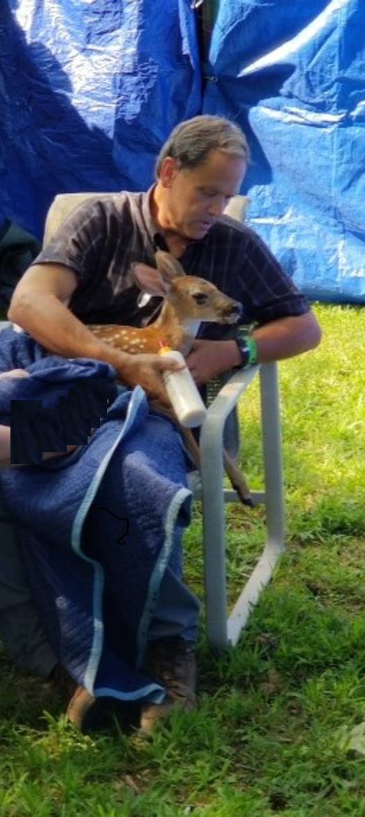 De Rasche's profile image