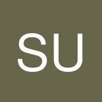 Srini Uppaluri's profile image