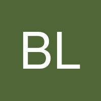 Bob Larger's profile image