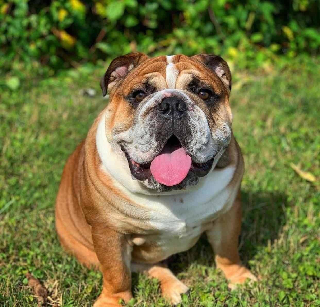 Jon Germino's profile image