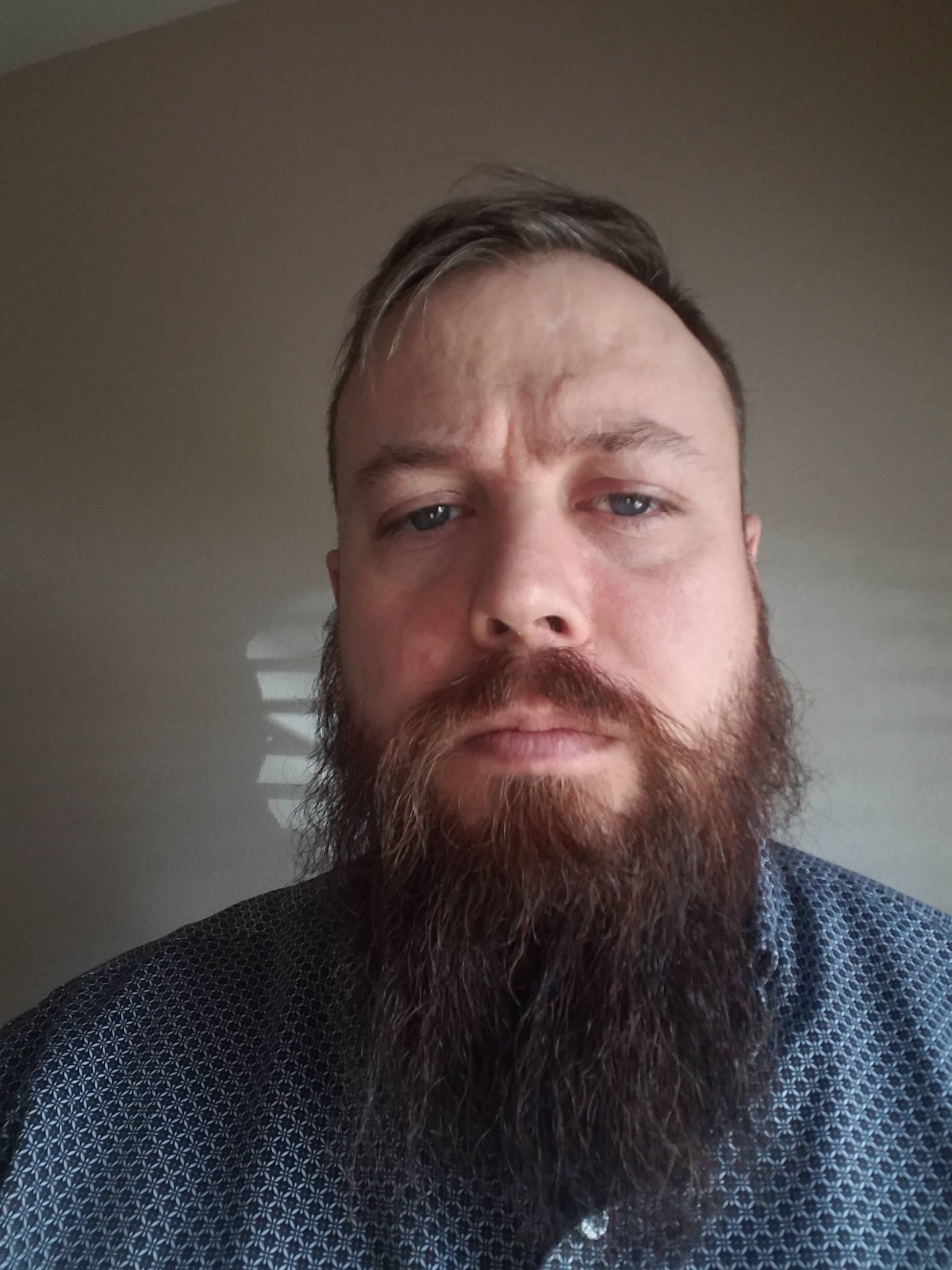 Evan Shiels's profile image
