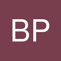 Bryan Peralta's profile image