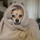 Katie Clayton-Hustedde's profile image