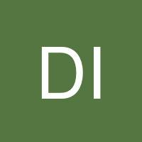 Daniel Ingvoldstad's profile image