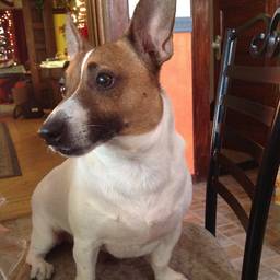 Debra Zombek's profile image