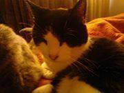 Wendy Geiger's profile image