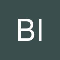 Bulat Idrisov's profile image