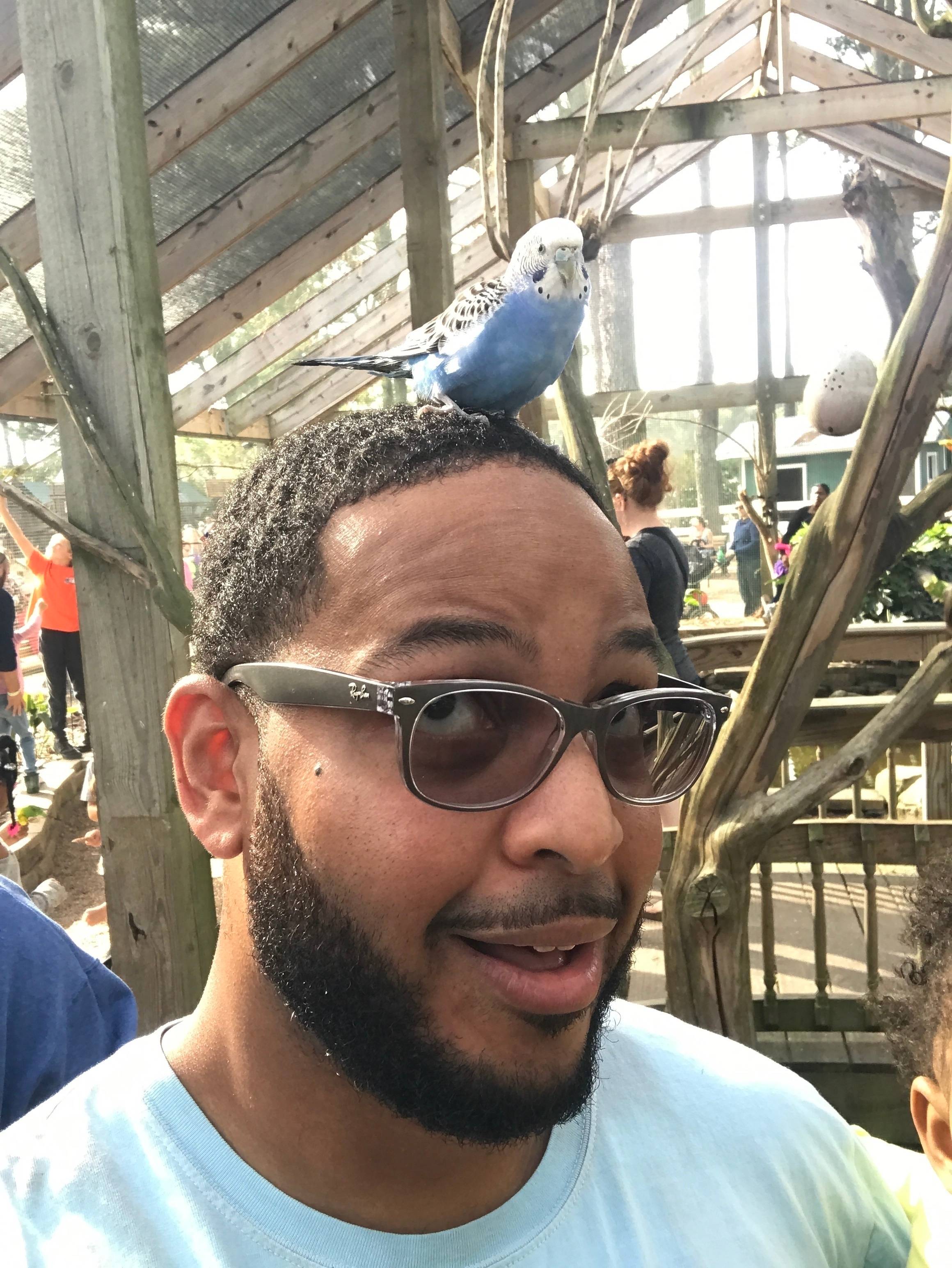 Guy A. Holley's profile image