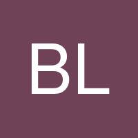 Brian Lambert's profile image