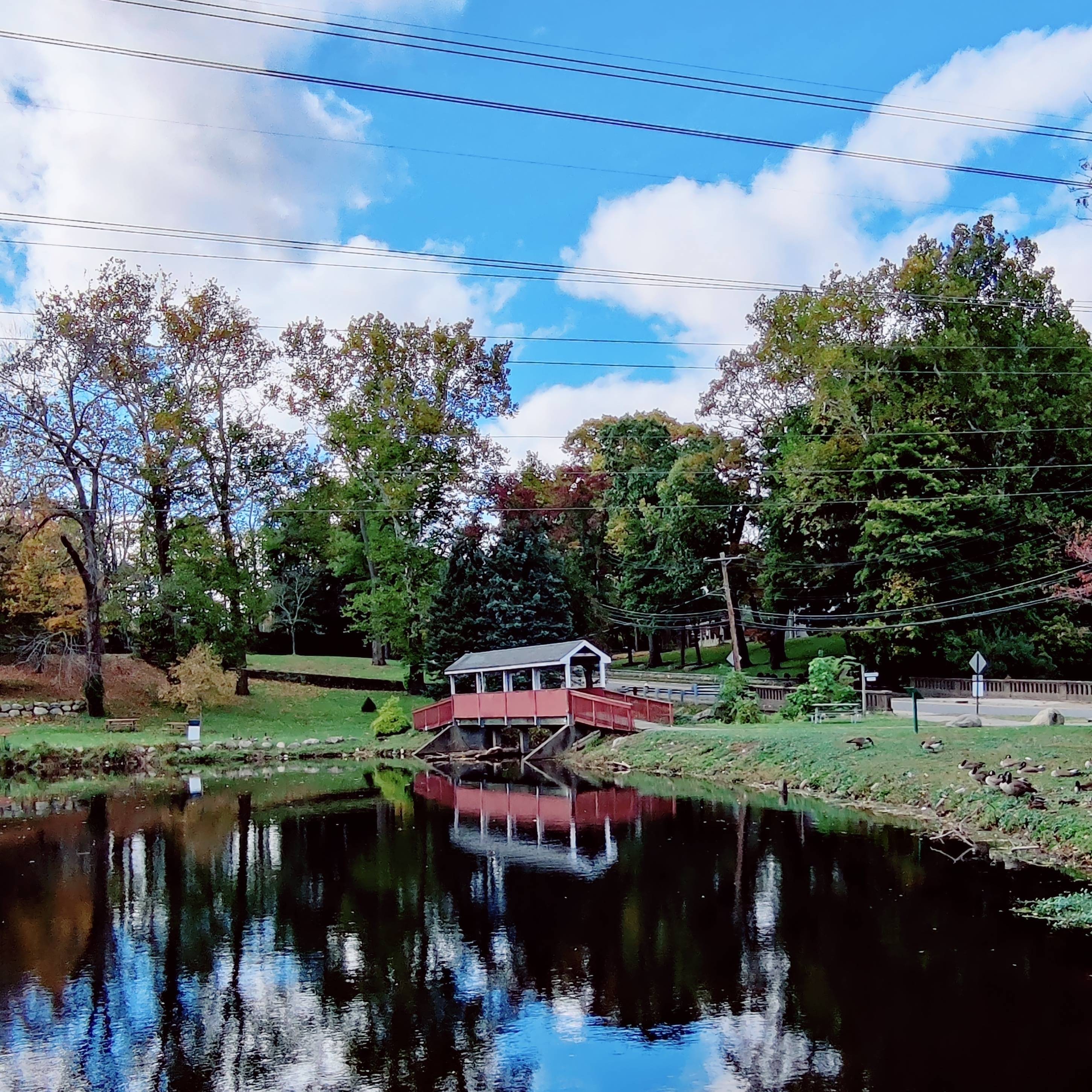 Peter Jin's profile image