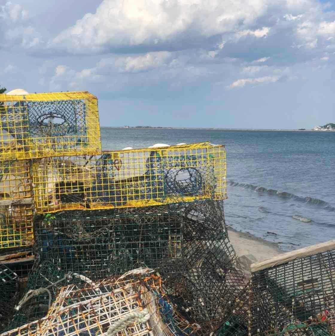 Michael Blampye's profile image