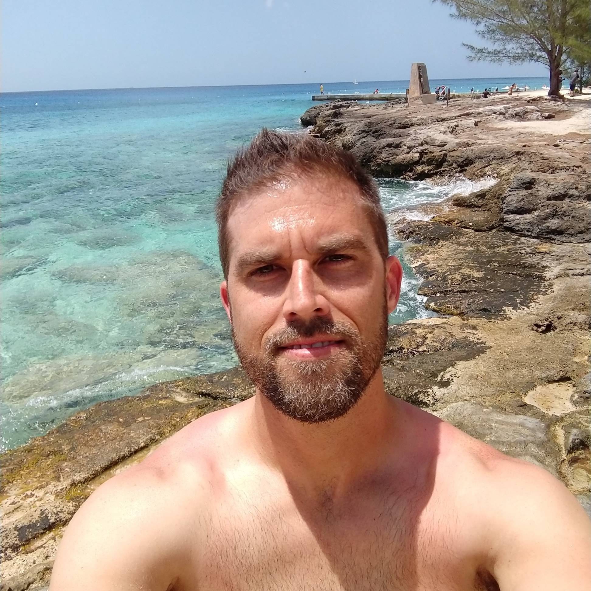 Andrew McGibbon's profile image