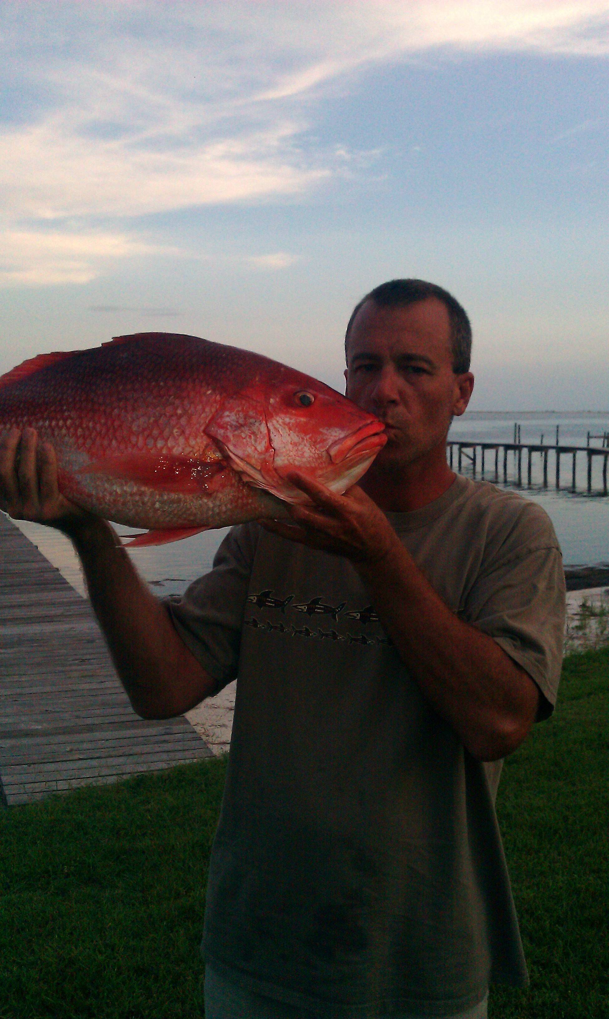 Mark Struck's profile image