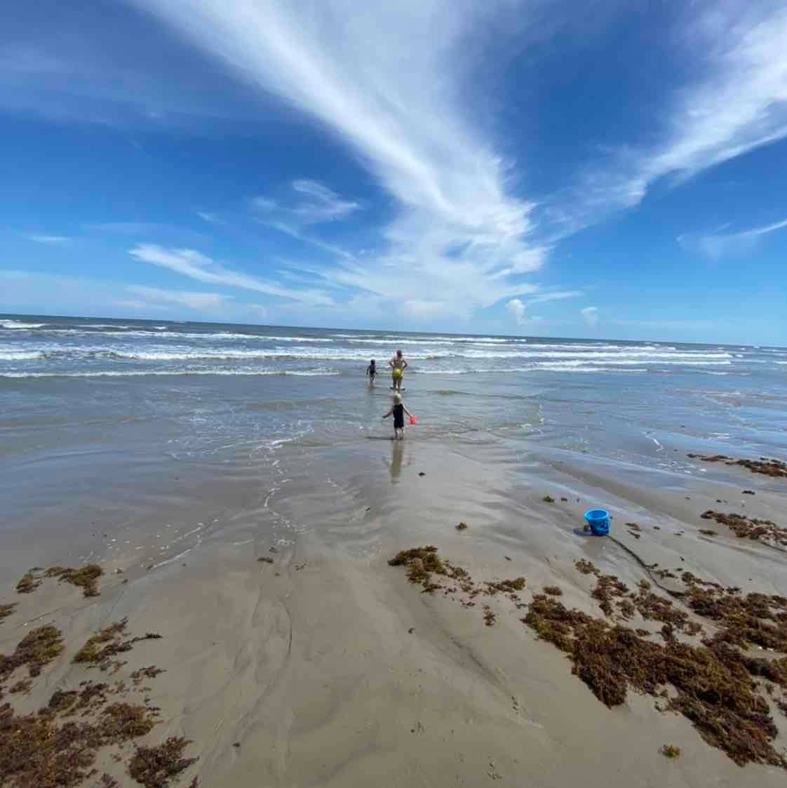 Shane Allen's profile image