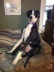 Mary lou Best's profile image