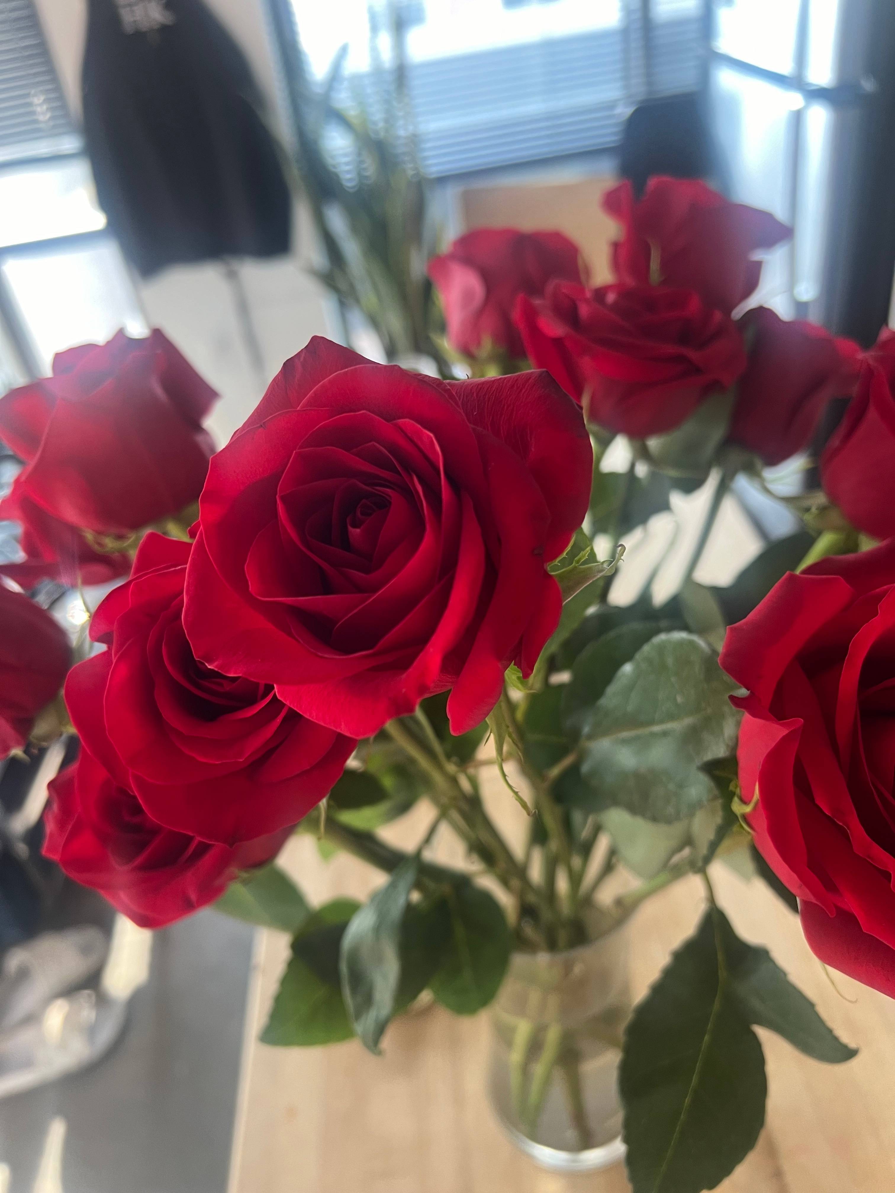 Lauren Wilson's profile image