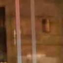 Patrick Altidor's profile image