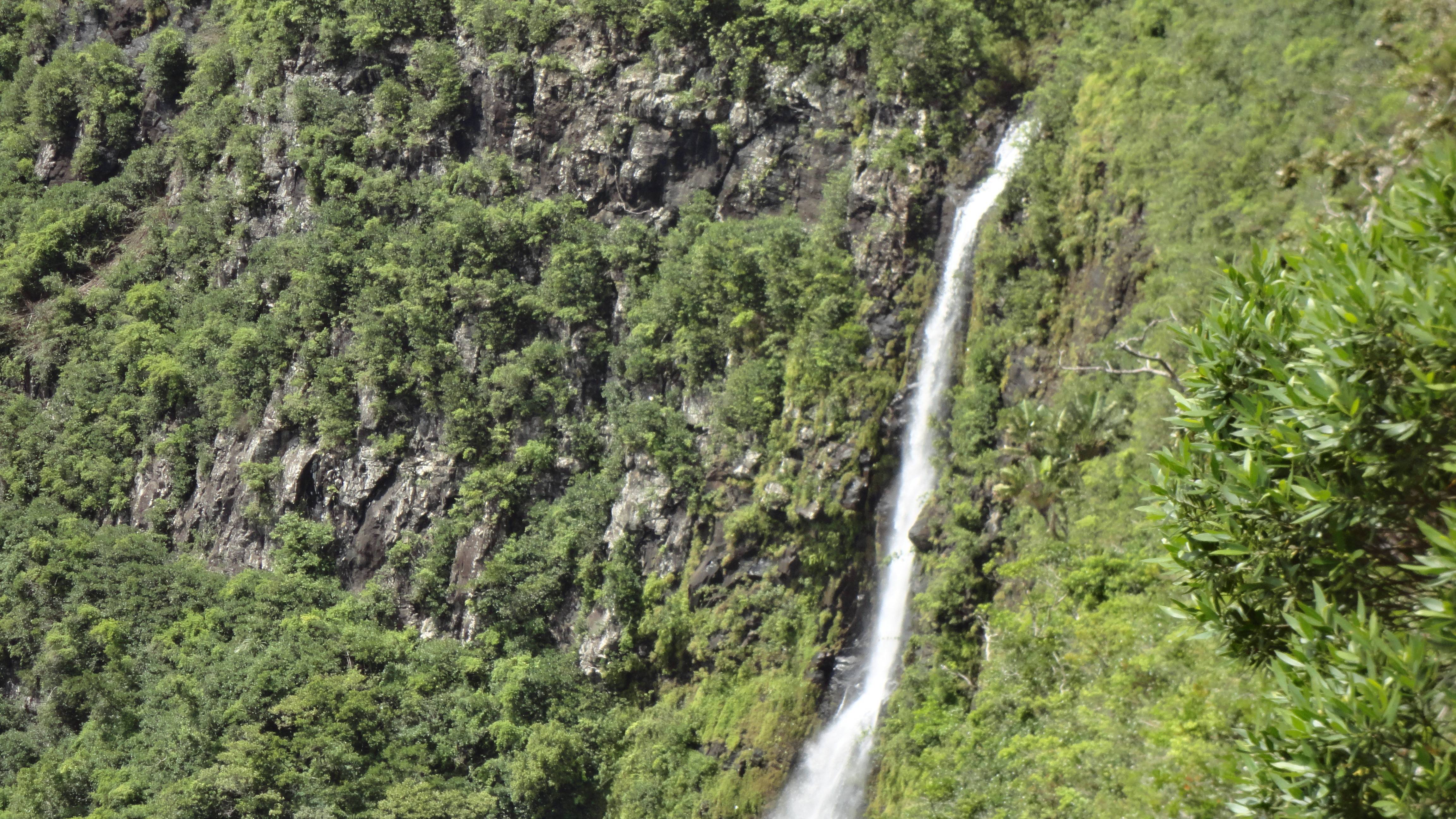 Adam Seth's profile image