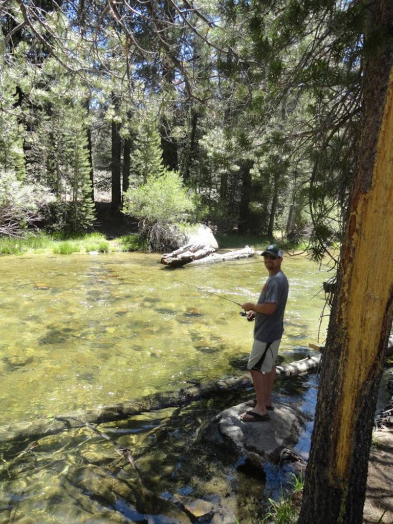 Nick Dubiel's profile image