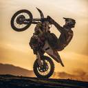 Colton Haaker's profile image