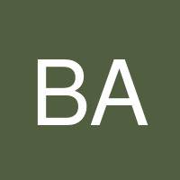 Brent Auyong's profile image