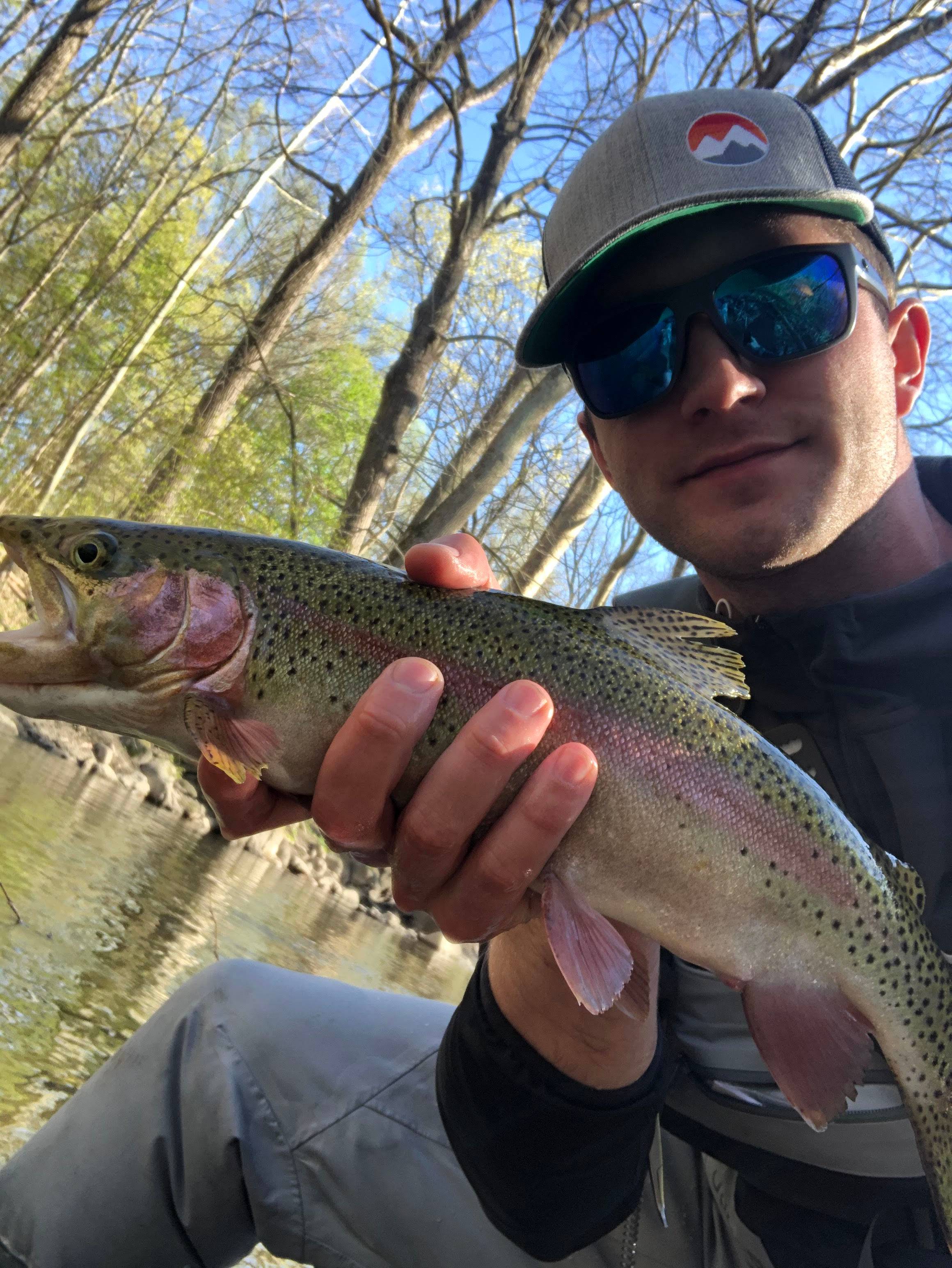 Davis Stoner's profile image