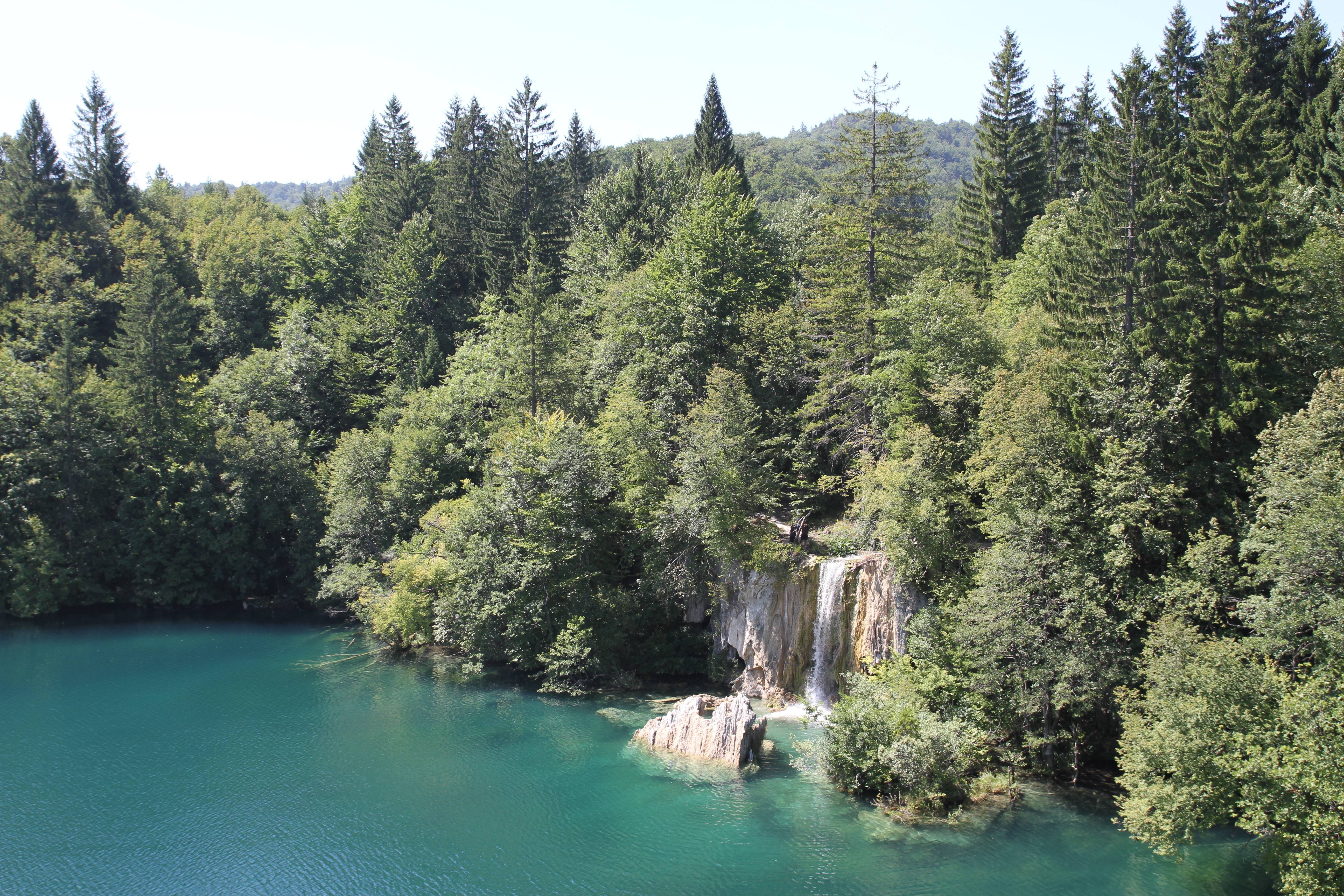 Sara Gillooly's profile image