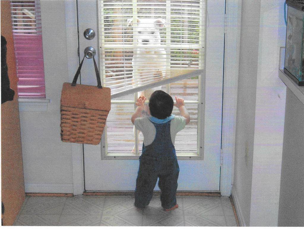 Amy L.'s profile image