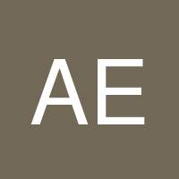 Aaron E Traylor's profile image