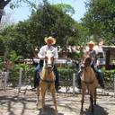 Karen Gauthier's profile image