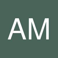 Ahmer Mehmood's profile image